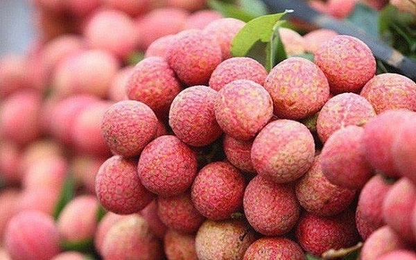 Singaporeans "fall in love" with Vietnamese lychees at first sight