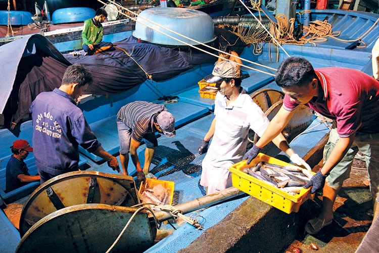 Bà Rịa - Vũng Tàu: Sản lượng khai thác thuỷ sản trong tháng 01 năm 2022 tăng 3,4% so cùng kỳ