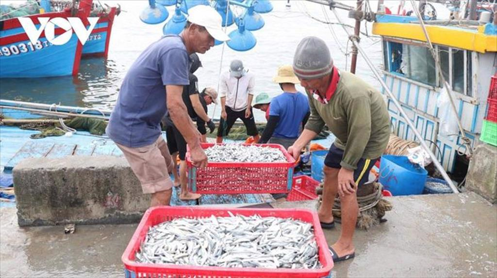 Ủy ban Châu Âu sẽ kiểm tra việc khắc phục “thẻ vàng” thủy sản của Việt Nam