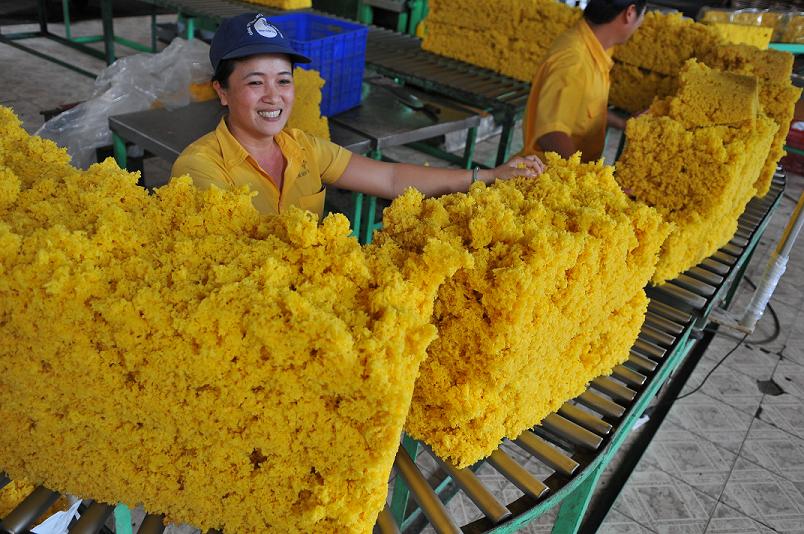 7 tháng 2019, xuất khẩu cao su tăng - Trung Quốc tiếp tục là thị trường chủ lực