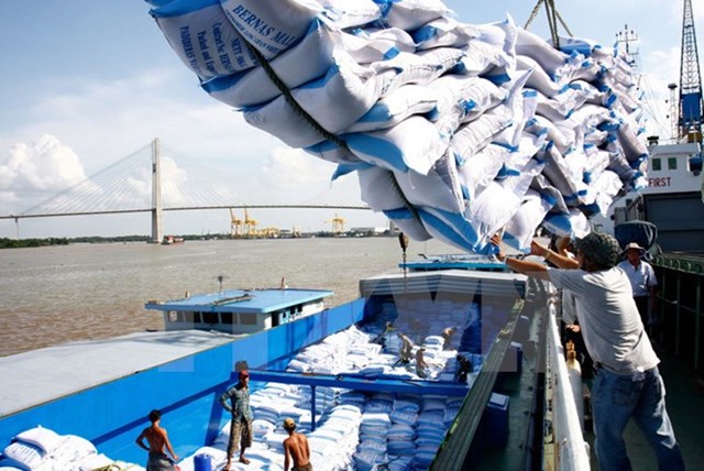 Các thị trường chủ yếu tiêu thụ gạo Việt Nam 11 tháng đầu năm 2019