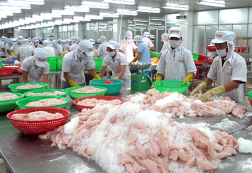 Gặp nhiều sự cố, sản lượng thủy sản vẫn tăng